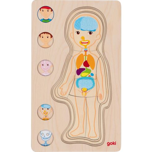 Vícevrstvé puzzle – Lidské tělo kluk, 29 dílů - Goki
