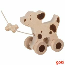 Pejsek na provázku – Goki nature
